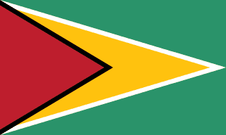 The flag of Guyana has a green field with two isosceles triangles which share a common base on the hoist end. The smaller black-edged red triangle spanning half the width of the field is superimposed on the larger white-edged yellow triangle which spans the full width of the field.