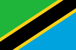 The flag of Tanzania features a yellow-edged black diagonal band that extends from the lower hoist-side corner to the upper fly-side corner of the field. Above and beneath this band are a green and light blue triangle respectively.